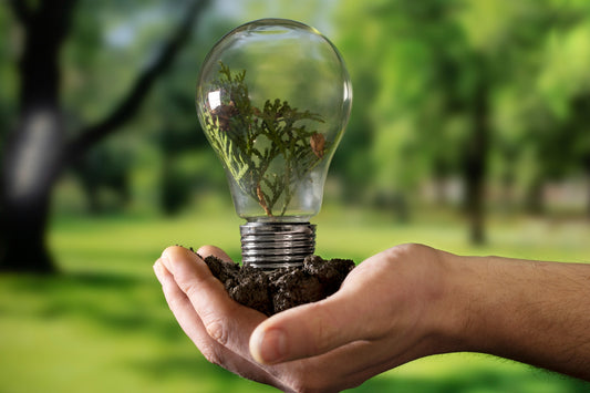 Día Mundial del Ahorro de Energía: importancia y consejos