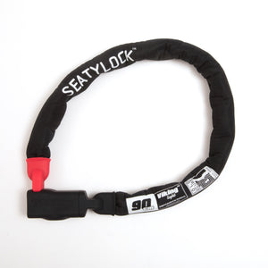 Viking Silver - E-Mobility Chile, Las Condes